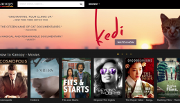 Kanopy Streaming Media Movie Selection - Highlighting Kedi