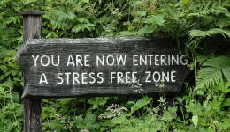 sign in leaves- you are now entering a stress free zone